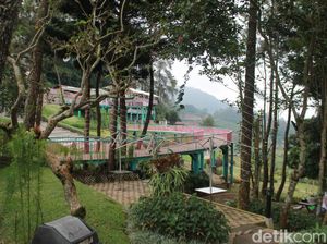 Keren! Ini Hidden Gem Baru di Cianjur yang Instagramable