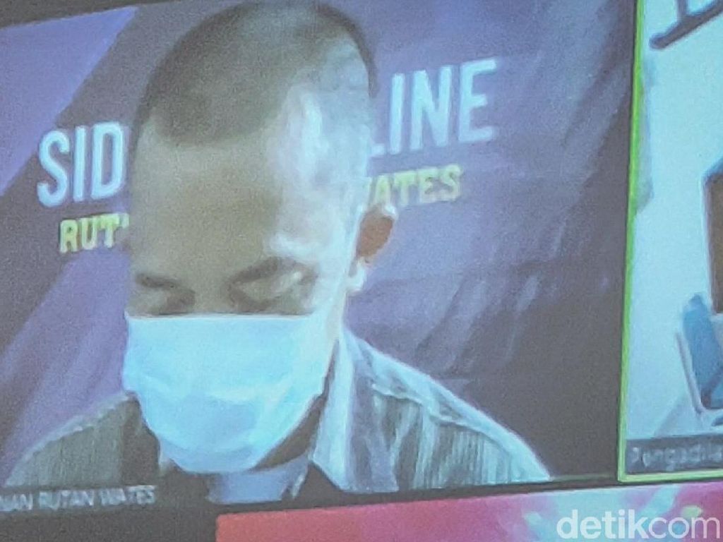 Pelaku Penyelundupan 78 Anjing di Kulon Progo Divonis 10 Bulan Bui Pelaku Penyelundupan 78 Anjing di Kulon Progo Divonis 10 Bulan Bui