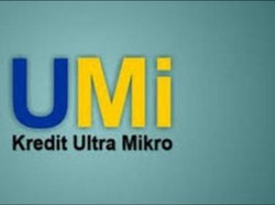 Babak Baru Kebangkitan Usaha Ultra Mikro