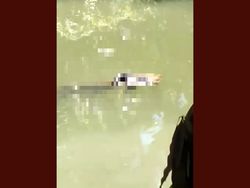 Video Buaya Gigit Jasad Remaja di Buton yang Hilang