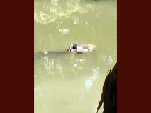 Video Buaya Gigit Jasad Remaja di Buton yang Hilang