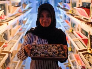 Tips buat Pemula yang Mau Ternak Burung Puyuh dari Ahlinya Tips buat Pemula yang Mau Ternak Burung Puyuh dari Ahlinya