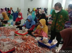 DLH Brebes Cek Pencemaran di Industri Pengolahan Rajungan, Ini Temuannya