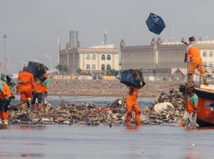 Bersih-bersih Teluk Jakarta yang Tak Kunjung Usai Bersih-bersih Teluk Jakarta yang Tak Kunjung Usai