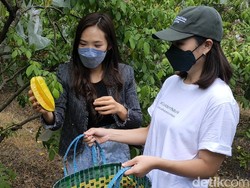 Pasutri di Kediri Ajak Petani Jual Buah ke Luar Negeri dengan Frozen Food