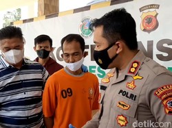 Miliki Ladang Ganja, Warga Tasikmalaya Jadi Tersangka