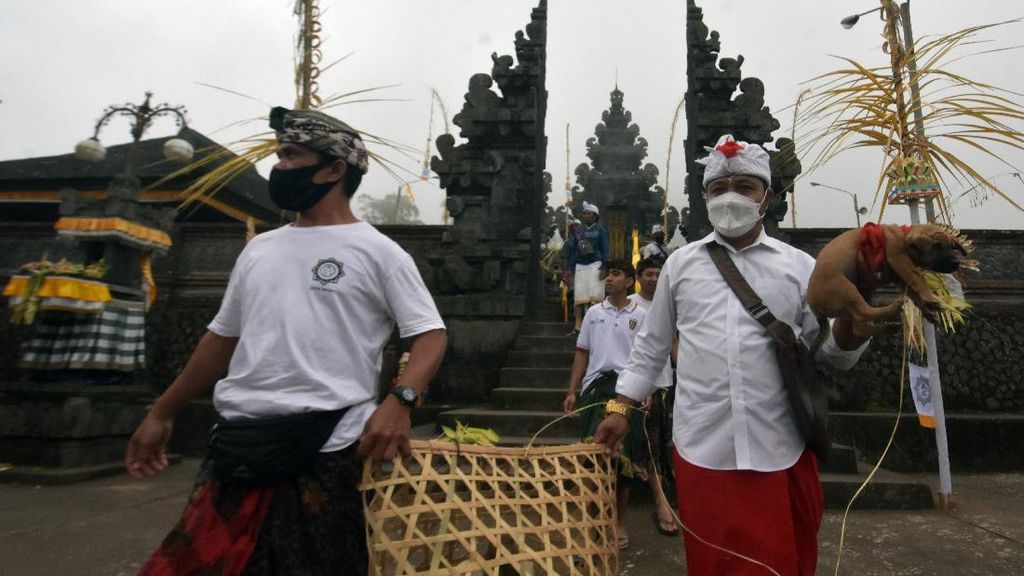 Intip Ritual Penyucian Hewan Kurban di Bali
