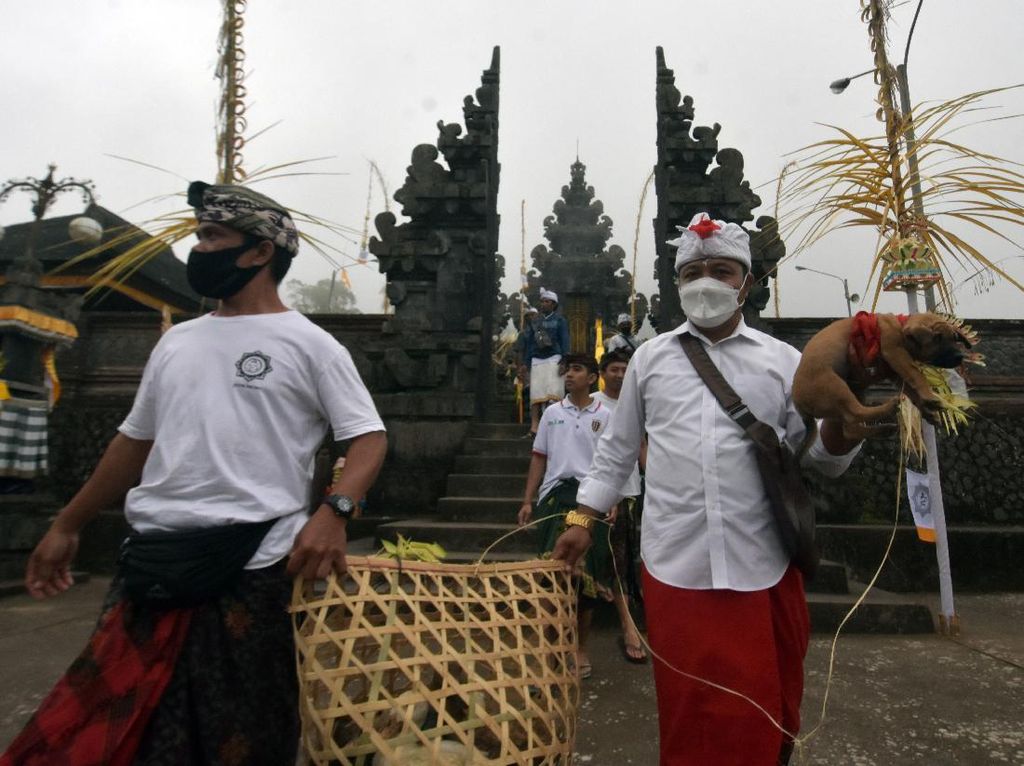 Intip Ritual Penyucian Hewan Kurban di Bali