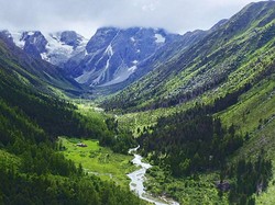 Progres Signifikan China dalam Konservasi Keanekaragaman Hayati