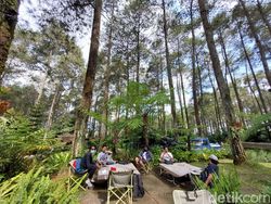 Kemping dengan Pemandangan Instagenik di Bandung, Ini Tempatnya