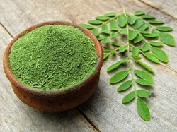 Manfaat Daun Kelor untuk Tangkal Covid-19