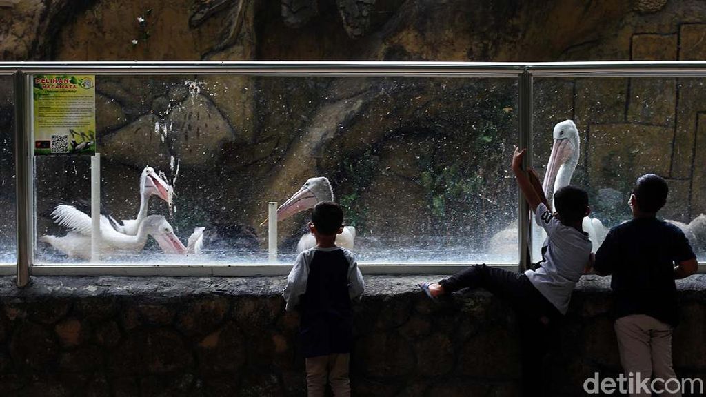 Taman Satwa Taru Jurug Terima Kunjungan Segala Umur Taman Satwa Taru Jurug Terima Kunjungan Segala Umur