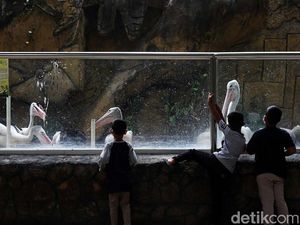 Taman Satwa Taru Jurug Terima Kunjungan Segala Umur