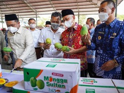 1 Ton Mangga Asal Petani Gresik Diekspor ke Singapura