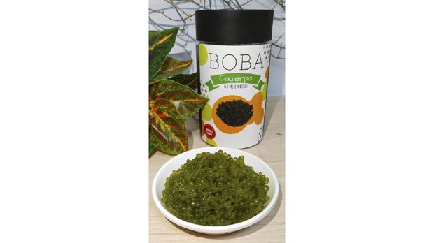 Boba yang terbuat dari rumput laut jenis anggur laut (KKP)