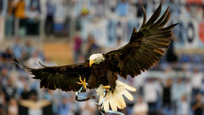 ROME, ITALY - SEPTEMBER 26: The flight of the eagle Olimpia before the Serie A match between SS Lazio and AS Roma at Stadio Olimpico on September 26, 2021 in Rome, Italy. (Photo by Marco Rosi - SS Lazio/Getty Images)