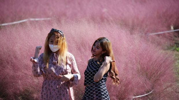 Women pose for a photograph in a pink muhly grass field at a park, amid the coronavirus disease (COVID-19) pandemic, in Hanam, South Korea, October 18, 2021. REUTERS/Kim Hong-Ji