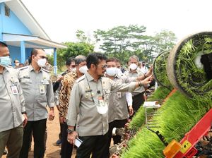 Mekanisasi Pertanian Disebut Tekan Kehilangan Hasil Panen hingga 3% Mekanisasi Pertanian Disebut Tekan Kehilangan Hasil Panen hingga 3%