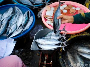 Genjot Konsumsi, Startup Ini Tukar Sampah dengan Ikan Genjot Konsumsi, Startup Ini Tukar Sampah dengan Ikan