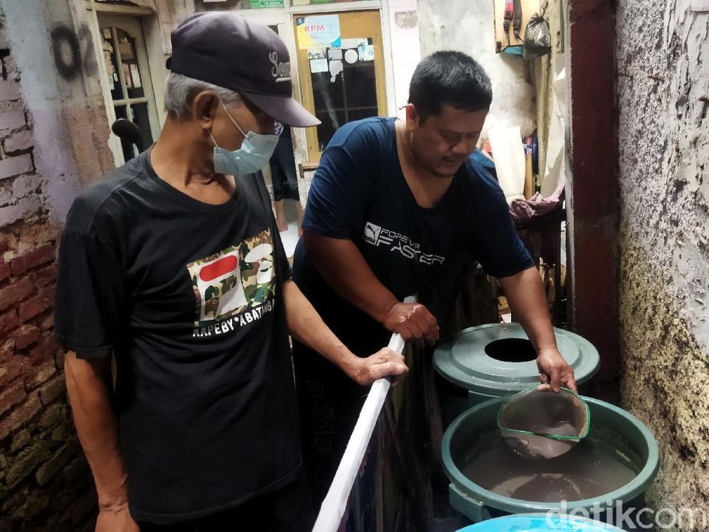 Lawan Mager dengan Aksi Budikdamber Lawan Mager dengan Aksi Budikdamber