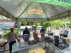 Jual Satwa Dilindungi, Pemuda Semarang Dibekuk Polisi Cyber