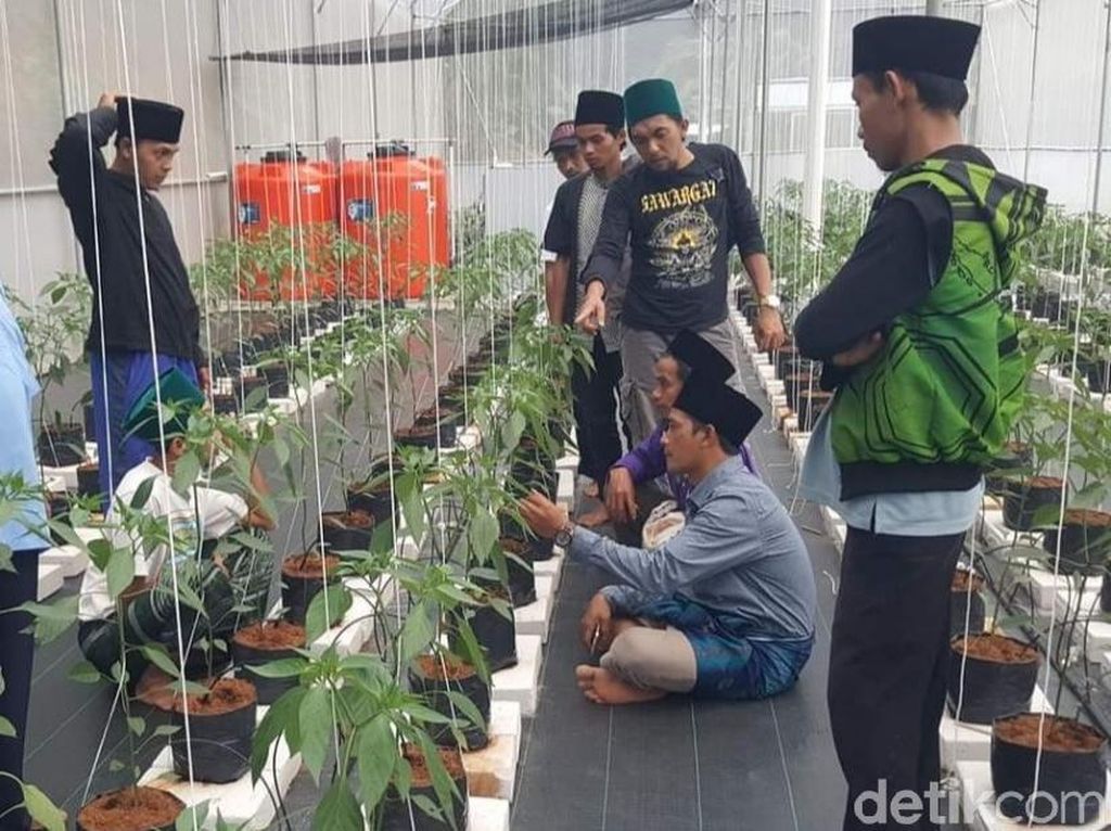 Aksi Bertani-Beternak Para Penghuni Banyulana Ciamis Aksi Bertani-Beternak Para Penghuni Banyulana Ciamis