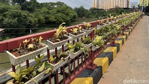 Pot Tanaman Gantung Hiasi Jembatan di Bekasi