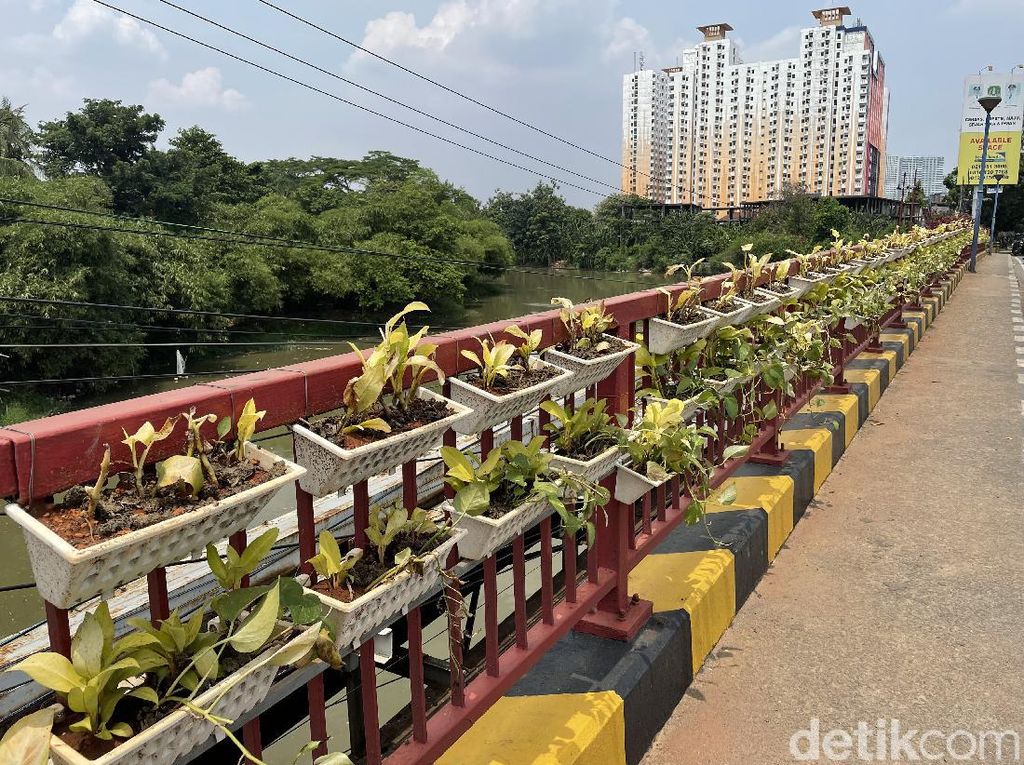 Pot Tanaman Gantung Hiasi Jembatan di Bekasi