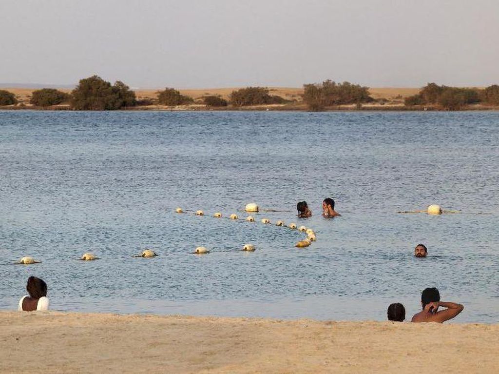 Pantai Bikini Arab Saudi yang Gegerkan Dunia Wisata Pantai Bikini Arab Saudi yang Gegerkan Dunia Wisata