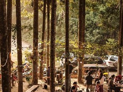 Adem! 5 Kafe di Bogor Ini Tawarkan Pemandangan Hijau dan Asri