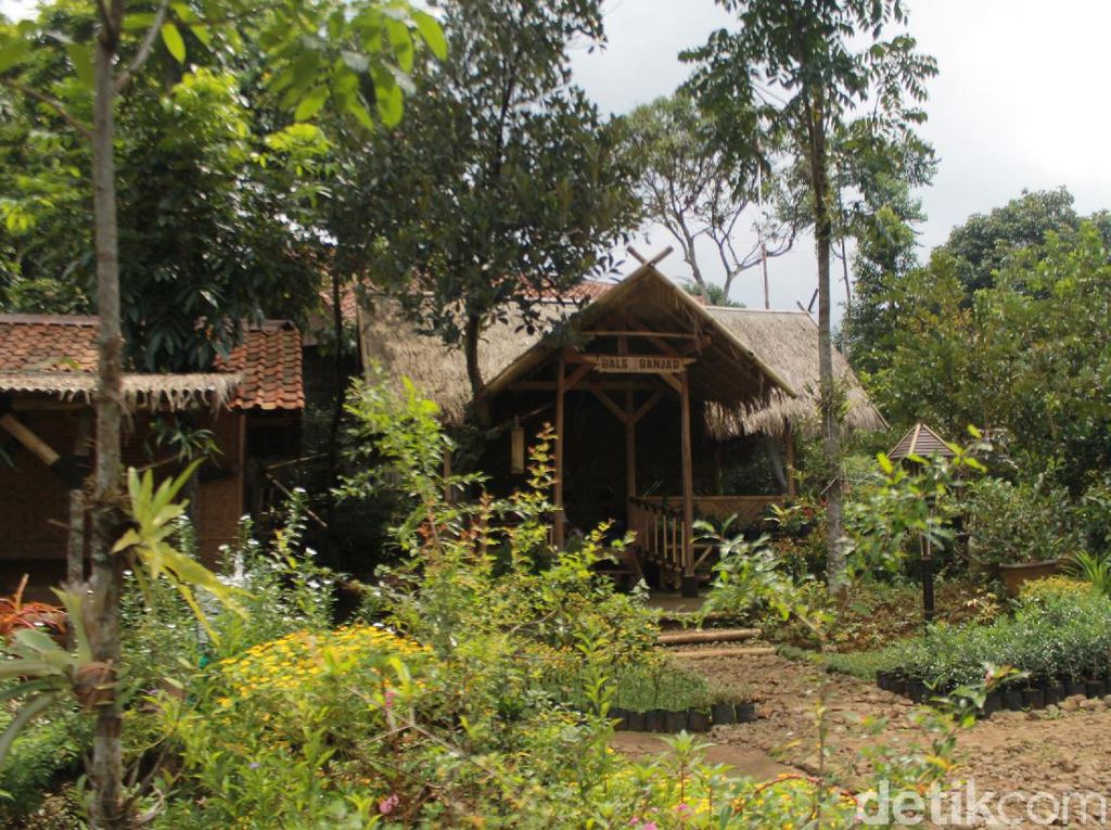 Saung Eling, Tempat Makan dengan Pemandangan Hijau di Bogor