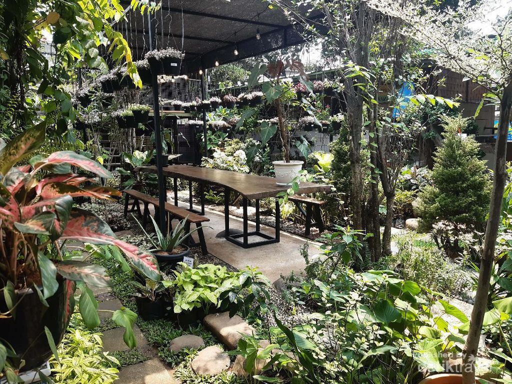 Percaya Tidak, Ada Kafe Sehijau Ini di Jakarta
