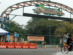 Wisatawan dengan KTP Luar DKI Belum Bisa Masuk Ragunan, Kenapa?
