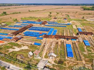 Ajaib! Bahan Baku Garam Made in Grobogan Jauh dari Laut