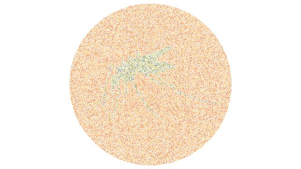 Yakin Kamu Nggak Buta Warna? Buktikan Lewat Tes Ini