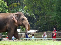 Tiga Tempat Wisata Jakarta Terapkan Ganjil Genap Saat Tahun Baru