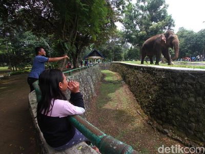Ragunan Diserbu Ribuan Pengunjung