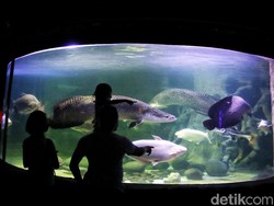 Anak-anak Boleh Bepergian Jarak Jauh saat Nataru, Ini Syaratnya