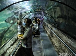 Kapasitas Tempat Wisata Dibatasi 50% Saat Nataru, Plus Ganjil-Genap