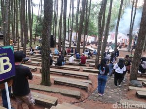 Obat Rindu, Keroncong Plesiran Mentas di Hutan Pinus Mangunan Obat Rindu, Keroncong Plesiran Mentas di Hutan Pinus Mangunan