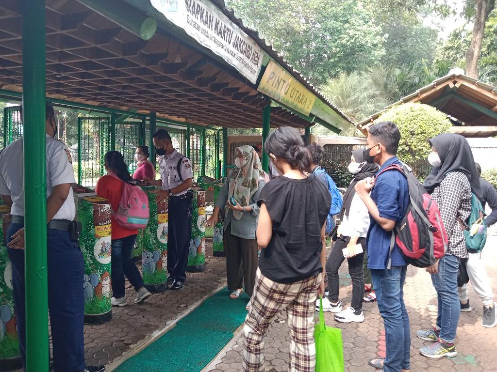 Dibuka Lagi, Taman Margasatwa Ragunan Diserbu Pengunjung
