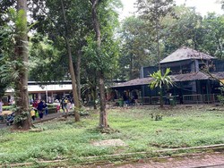 Ragunan Dibuka Lagi Usai DKI PPKM Level 2, Begini Suasananya