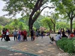 Tiga Minggu Buka, Kebun Binatang Surabaya Dikunjungi 37.838 Orang