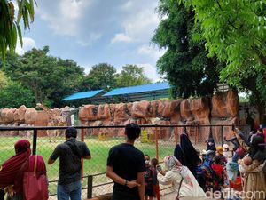 Kebun Binatang Surabaya Diserbu Pengunjung saat Akhir Pekan