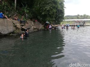 Segarnya Berenang di Kolam Mata Air Cikandung Sumedang