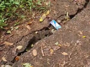 Retak Usai Gempa M 4,8, Gunung Abang Ditutup untuk Aktivitas Pendakian