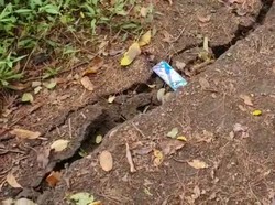 Retak Usai Gempa M 4,8, Gunung Abang Ditutup untuk Aktivitas Pendakian