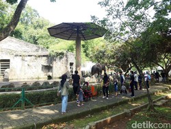 Cerita Senangnya Warga soal Ragunan Dibuka Lagi Usai PPKM Level 2