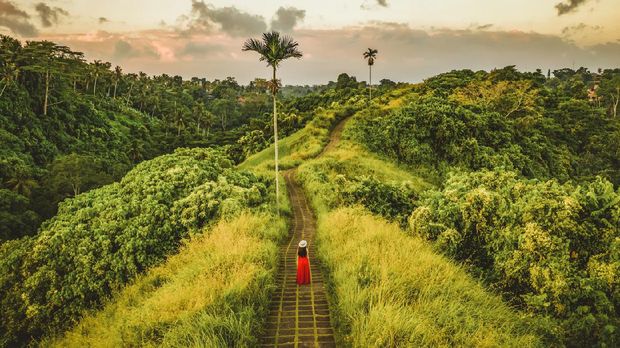 Young beautiful woman walking on Campuhan Ridge way of artists, in Bali, Ubud. Beautiful calm sunny morning. Photo of Fashionable girl walking while wearing red dress.