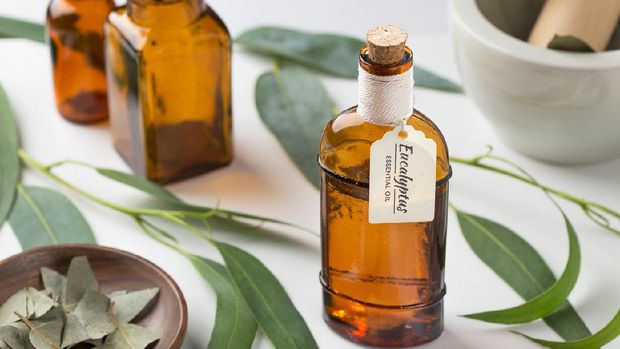 Eucalyptus essential oil wih leaves on white background. Organic aromatheraphy